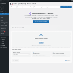 Page screenshot: Text to Speech &rarr; Speech to Text