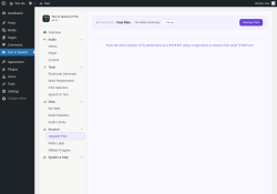 Page screenshot: Text to Speech &rarr; License