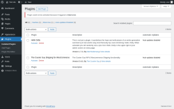 Page screenshot: Plugins &lsaquo; Test site &mdash; WordPress