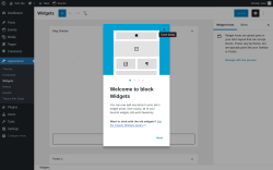 Page screenshot: Widgets ‹ Test site — WordPress