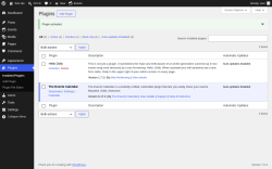 Page screenshot: Plugins &lsaquo; Test site &mdash; WordPress