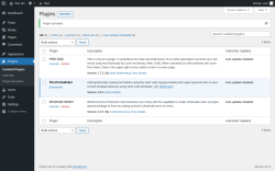 Page screenshot: Plugins &lsaquo; Test site &mdash; WordPress