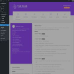 Page screenshot: The Plus Settings