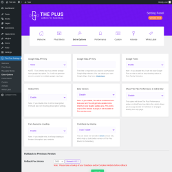 Page screenshot: The Plus Settings → Extra Options