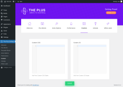 Page screenshot: The Plus Settings → Custom