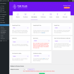 Page screenshot: The Plus Settings → Extra Options