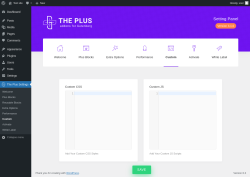 Page screenshot: The Plus Settings → Custom