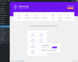 Page screenshot: The Plus Settings → Activate