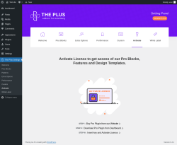 Page screenshot: The Plus Settings → Activate