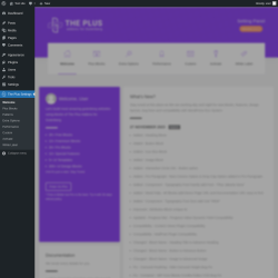 Page screenshot: The Plus Settings