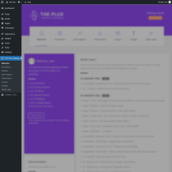 Page screenshot: The Plus Settings