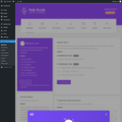Page screenshot: The Plus Settings