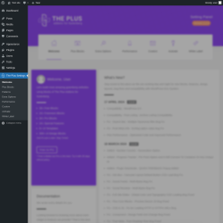 Page screenshot: The Plus Settings