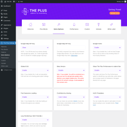 Page screenshot: The Plus Settings → Extra Options