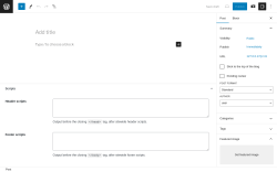 Page screenshot: Add New Post &lsaquo; Test site &mdash; WordPress