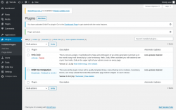 Page screenshot: Plugins &lsaquo; Test site &mdash; WordPress