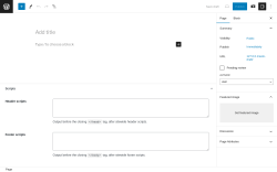 Page screenshot: Add New Page &lsaquo; Test site &mdash; WordPress