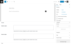Page screenshot: Add New Post &lsaquo; Test site &mdash; WordPress