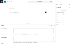 Page screenshot: Add Page ‹ Test site — WordPress