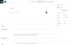 Page screenshot: Add Page ‹ Test site — WordPress