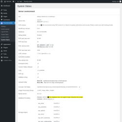 Page screenshot: Themify Builder → System Status