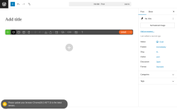 Page screenshot: Add Post ‹ Test site — WordPress