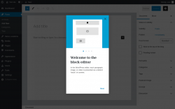 Page screenshot: Add New Post &lsaquo; Test site &mdash; WordPress