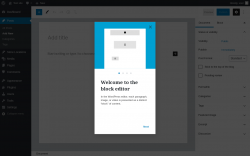 Page screenshot: Add New Post &lsaquo; Test site &mdash; WordPress