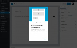 Page screenshot: Add New Page &lsaquo; Test site &mdash; WordPress