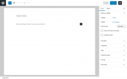 Page screenshot: Add New Post &lsaquo; Test site &mdash; WordPress
