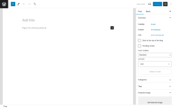 Page screenshot: Add New Post &lsaquo; Test site &mdash; WordPress
