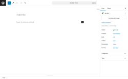 Page screenshot: Add New Post &lsaquo; Test site &mdash; WordPress