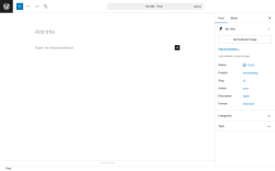 Page screenshot: Add Post &lsaquo; Test site &mdash; WordPress