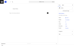 Page screenshot: Add Post &lsaquo; Test site &mdash; WordPress