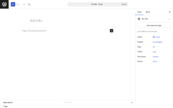 Page screenshot: Add Page &lsaquo; Test site &mdash; WordPress
