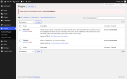 Page screenshot: Plugins &lsaquo; Test site &mdash; WordPress