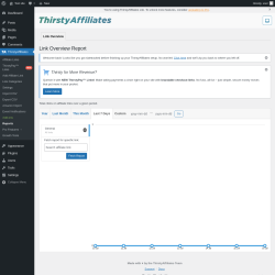 Page screenshot: ThirstyAffiliates → Reports