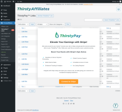 Page screenshot: ThirstyAffiliates → ThirstyPay™ LinksNEW