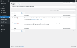 Page screenshot: Plugins ‹ Test site — WordPress