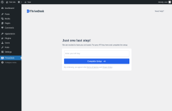 Page screenshot: ThriveDesk &rarr; API Verify