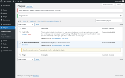 Page screenshot: Plugins &lsaquo; Test site &mdash; WordPress