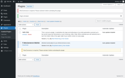 Page screenshot: Plugins &lsaquo; Test site &mdash; WordPress