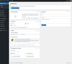 Page screenshot: Dashboard ‹ Test site — WordPress