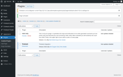Page screenshot: Plugins ‹ Test site — WordPress