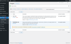 Page screenshot: Plugins &lsaquo; Test site &mdash; WordPress