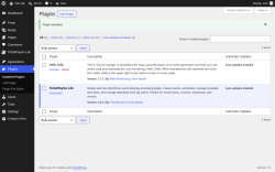 Page screenshot: Plugins &lsaquo; Test site &mdash; WordPress