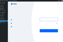 Page screenshot: Tidio Chat