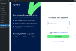 Page screenshot: Tidio Chat