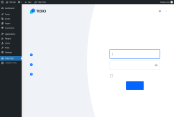 Page screenshot: Tidio Chat