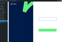 Page screenshot: Tidio Chat &lsaquo; Test site &mdash; WordPress